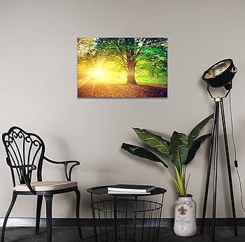 額装写真 アートパネル アートフォト 自然風景 インテリアフォト Amazon.co.jp: 【HAIKAU】 アートフォトフレーム 自然風景写真